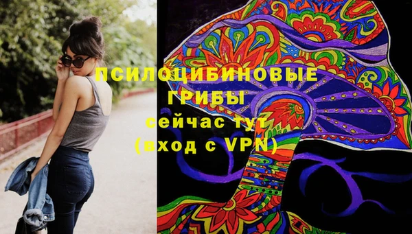 герыч Краснослободск