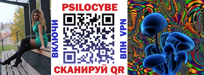 blacksprut ссылка  Туапсе  Псилоцибиновые грибы мицелий 